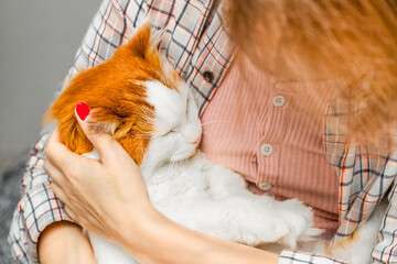 woman holding a cat in her arms. woman petting her favorite cat. woman holds cat like child. 