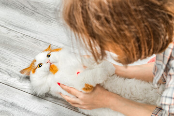 woman holding a cat in her arms. woman petting her favorite cat. man petting cat. cat baby. 