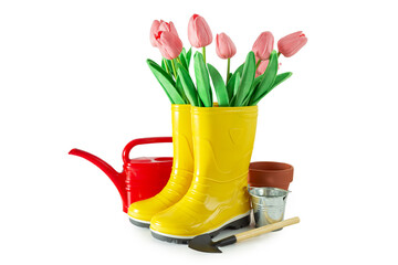 Pink tulips in yellow rubber boots, watering can and garden tools. Isolated on white background.