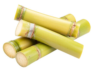 
  Fresh Sugarcane Stalk  Transparent PNG