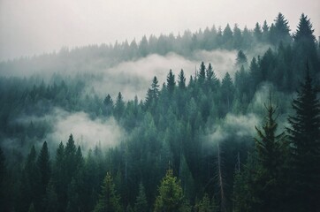 Misty landscape with fir forest in hipster vintage retro style