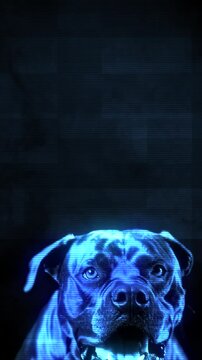 Aggressive pitbull growls and barks with digital cybercrime and cyberware elements overlaid with digital glitch for hacker and electronic warfare concept