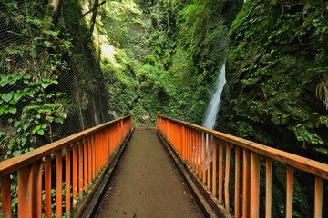 森の滝