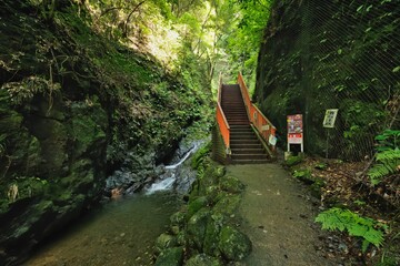 滝に向かう道