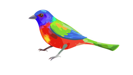 painted-bunting--in-digital-painting