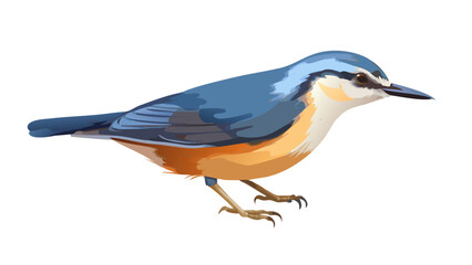 nuthatch-in-digital-painting