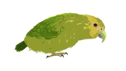 kakapo-bird-in-digital-painting (1)