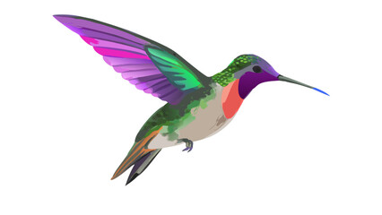 -hummingbird-in-digital-painting