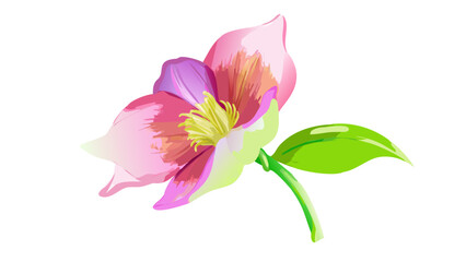 hellebore-flower-in-digital-painting (1)
