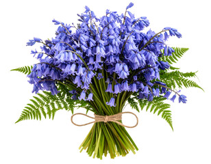 Romantic Bluebell Flower Bouquet in Soft Spring Tones, isolated on a transparent background.