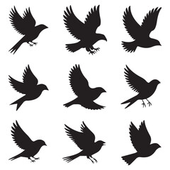 Obraz premium Collection of nine black bird silhouettes in various flying poses against a white background