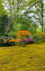 Garden Spring Park Old Vintage Japanese Holland Netherlands The Hague