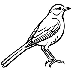 Yellowhammer Bird Sketch Vector Linework