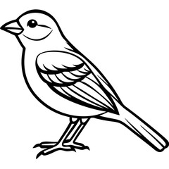 Yellowhammer Bird Sketch Vector Linework