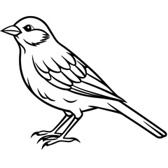 Yellowhammer Bird Sketch Vector Linework