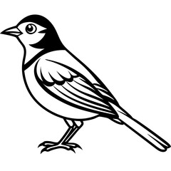 Yellowhammer Bird Sketch Vector Linework