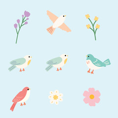 Obraz premium set of collection floral bird elements vector design