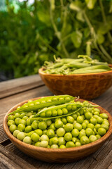 Fresh green peas