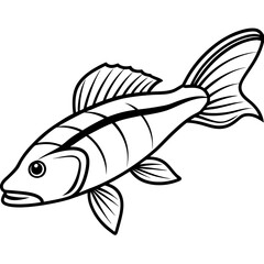 Zander Fish Artwork Linear Style Vector Design
