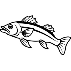 Zander Fish Artwork Linear Style Vector Design