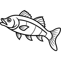 Zander Fish Artwork Linear Style Vector Design