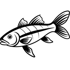 Fototapeta premium Zander Fish Artwork Linear Style Vector Design