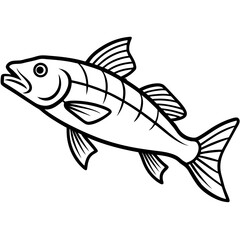Zander Fish Artwork Linear Style Vector Design