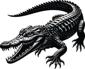 Striking crocodile vector illustration, black & white reptile art on isolated white background