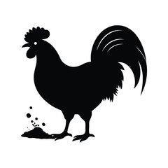 Black Silhouette of a Proud Rooster Standing Near Some Ground and Rocks