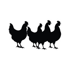 Four Silhouetted Chickens Standing in a Row on a White Background
