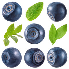 Fresh bilberries and green leaves isolated on white, set