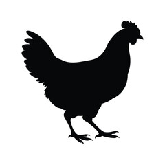 Black silhouette of a hen, standing on a white background, side view