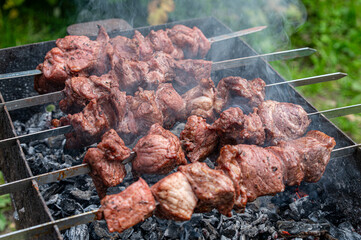 Overhead angle of sizzling meat skewers grilling on a charcoal barbecue outdoors. Golden-brown kebabs with char marks, smoke rising. Appetizing summer food scene, perfect for culinary themes