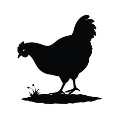 Silhouette of a chicken on ground foraging, looking down, and surrounded by grass