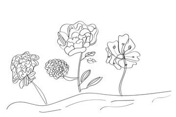 Black and white flower art, elegant sketch for kids' coloring page, vector illustration design background