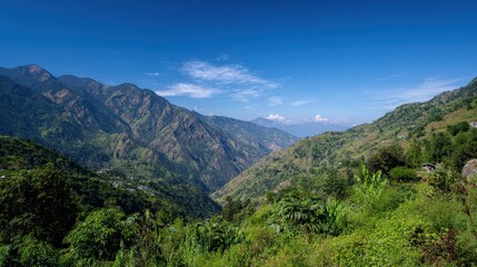 Scenic view of a vibrant green valley nestled among mountains under a clear blue sky, showcasing natural beauty and rural life.