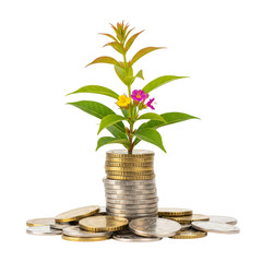 A vibrant plant with colorful blossoms grows from a stack of gold and silver coins, symbolizing financial growth and investment success against a dark backdrop.
