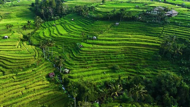 Landscape view of Jatiluwih Rice Terraces in Penebel District, Tabanan Regency, Bali, Indonesia. UNESCO's world's cultural heritage site