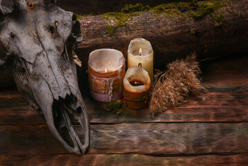 Deer skull, burning candles, log with moss on old mystical wizard table background.