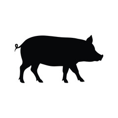 Silhouette of a walking pig against a white background in clear style
