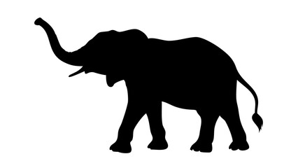 Obraz premium Animal Outline Silhouette Vector Icon