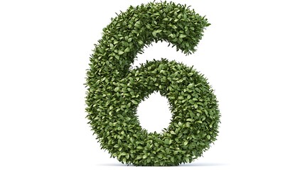 Number 6 made of green grass isolated on a white background