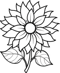 Vector illustration of a sunflower line art