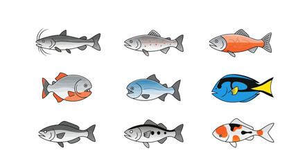 Obraz premium Vector explore diverse fish species a colorful collection of freshwater and saltwater fish illustration art drawing