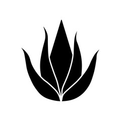 aloevera
