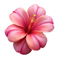 Fototapeta premium 3d realistic pink hibiscus flower isolated on transparent background