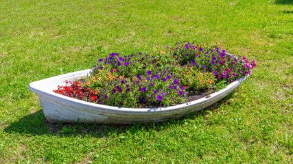 Colorful flowerbed in a boat on a green lawn.