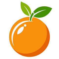 vector illustration of an orange