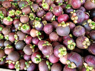 Ripe Mangosteen Fruits in Pile – Close-Up of Tropical Thai Fruit in Market or Farm Harvest