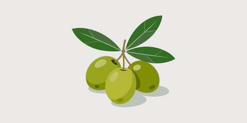 Illustration of olives, green fruit with leaves, healthy food concept, vector